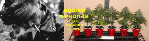 прущие крисы Арсеньев