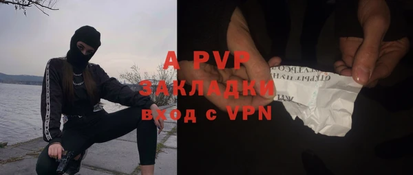 прущие крисы Арсеньев