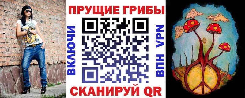 Галлюциногенные грибы GOLDEN TEACHER  Чернушка 